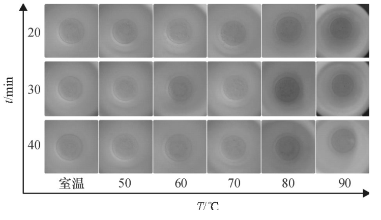 圖6不同密閉消解時間、不同水浴溫度的消解效果